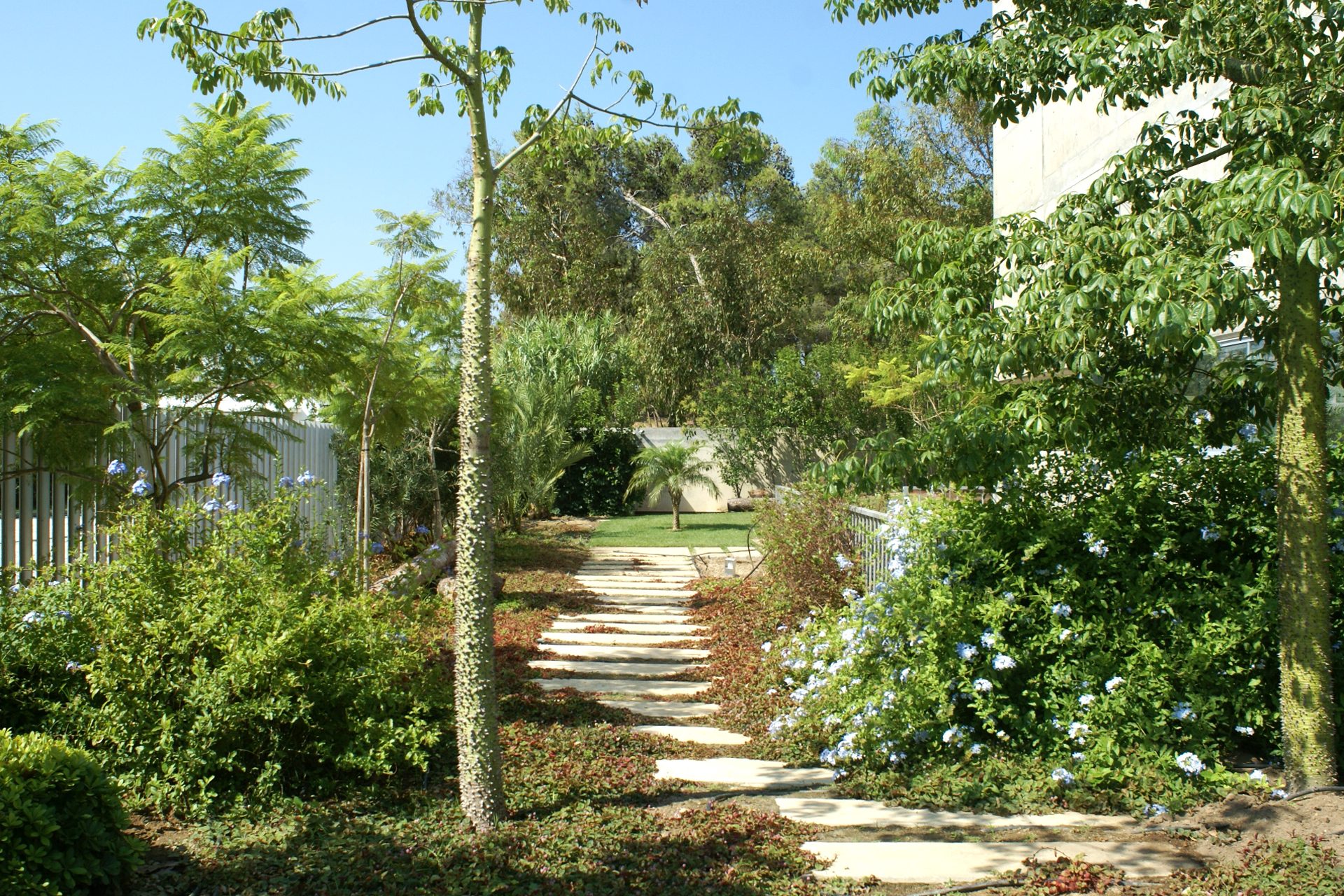 Casa Bonfante — Perspetiva completa da moradia