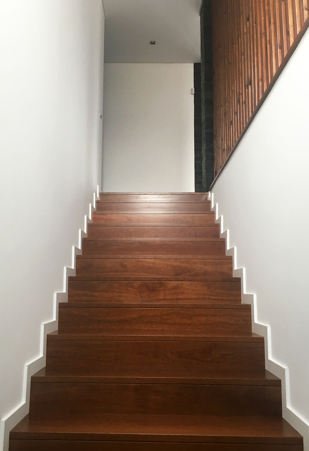 Moradias Quinta do Cerrado — Perspetiva completa da moradia